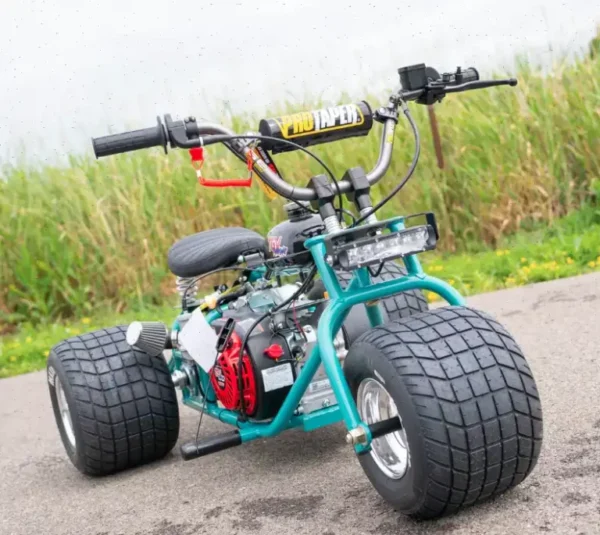 2024 “Island Time” Special Edition Mini Trike! - Image 2