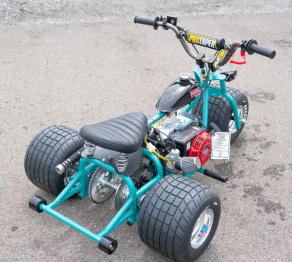 2024 “Island Time” Special Edition Mini Trike! - Image 5